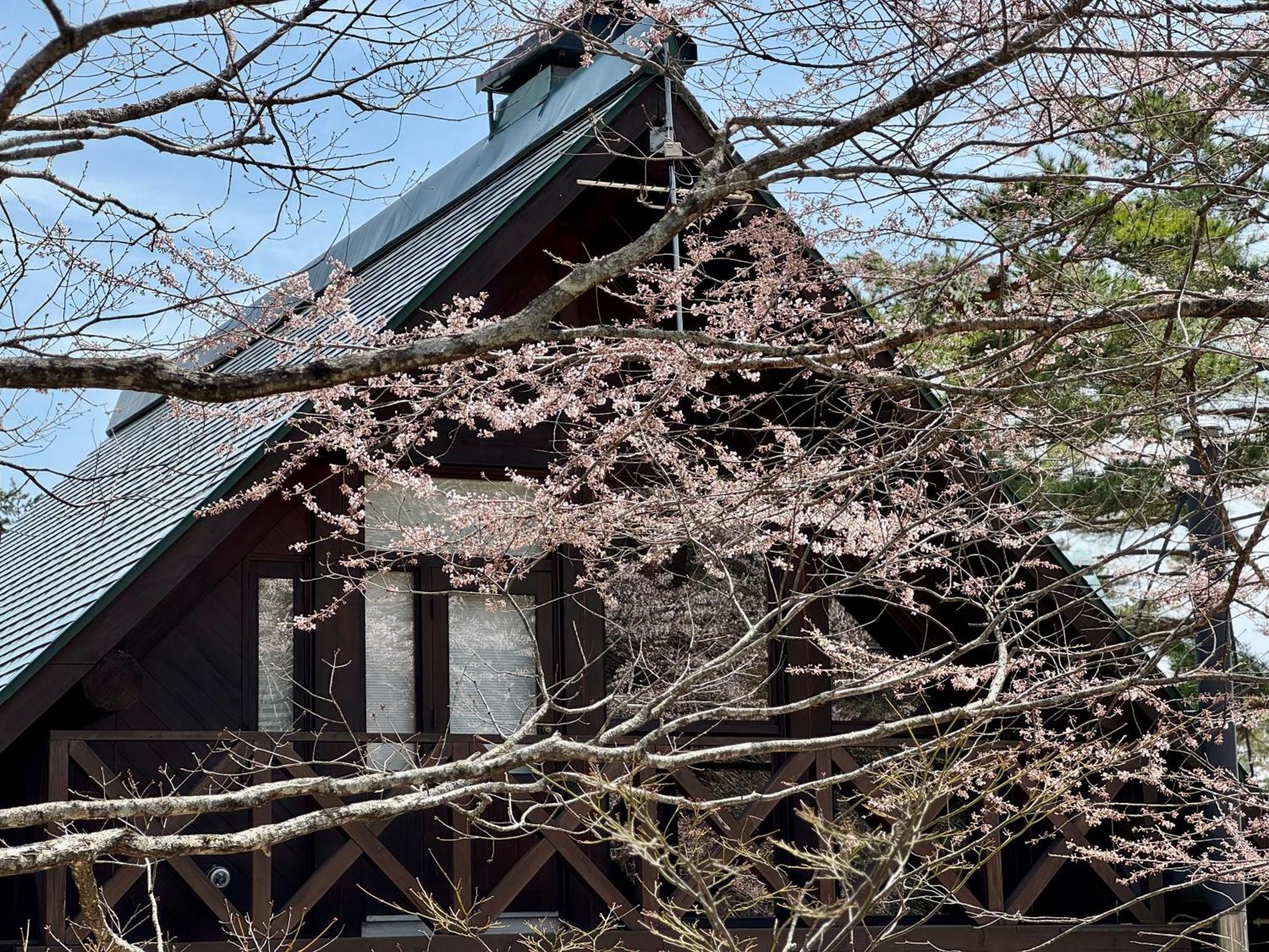 Hakuba Riverside Loghouse Екстер'єр фото